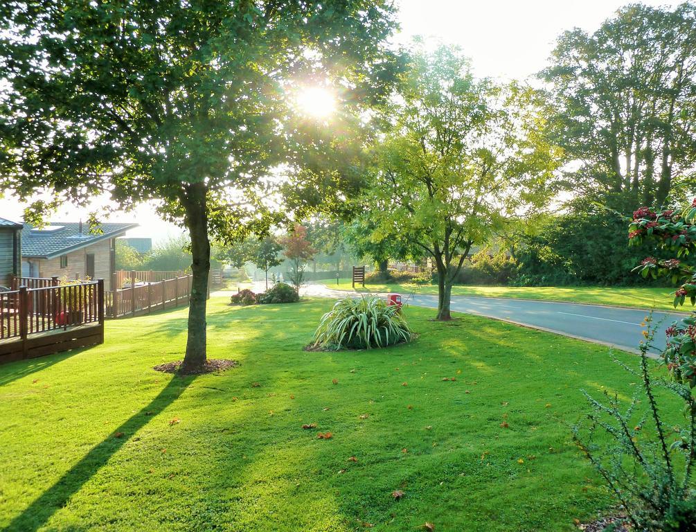 Devon Hills Hotell Paignton Rum bild